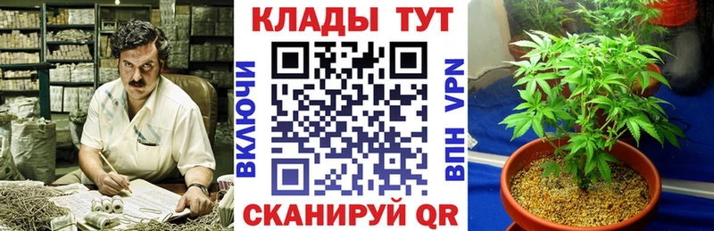 Купить Alpha PVP  МАРИХУАНА  МЕФ  Гашиш  КОКАИН  Кингисепп
