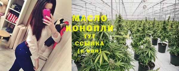 молекула духа Волосово